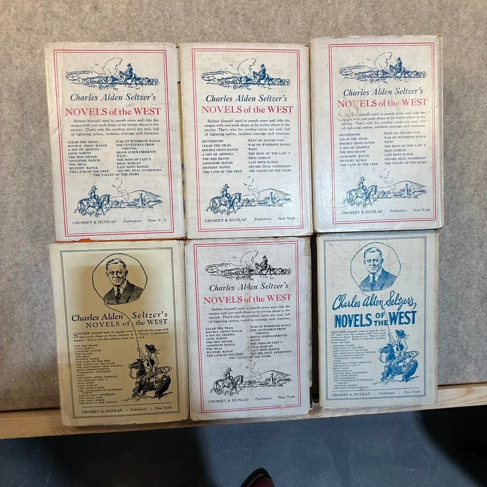 6 Vintage Charles Alden Seltzer Western Novels Grosset & Dunlap Dust Jackets 30s